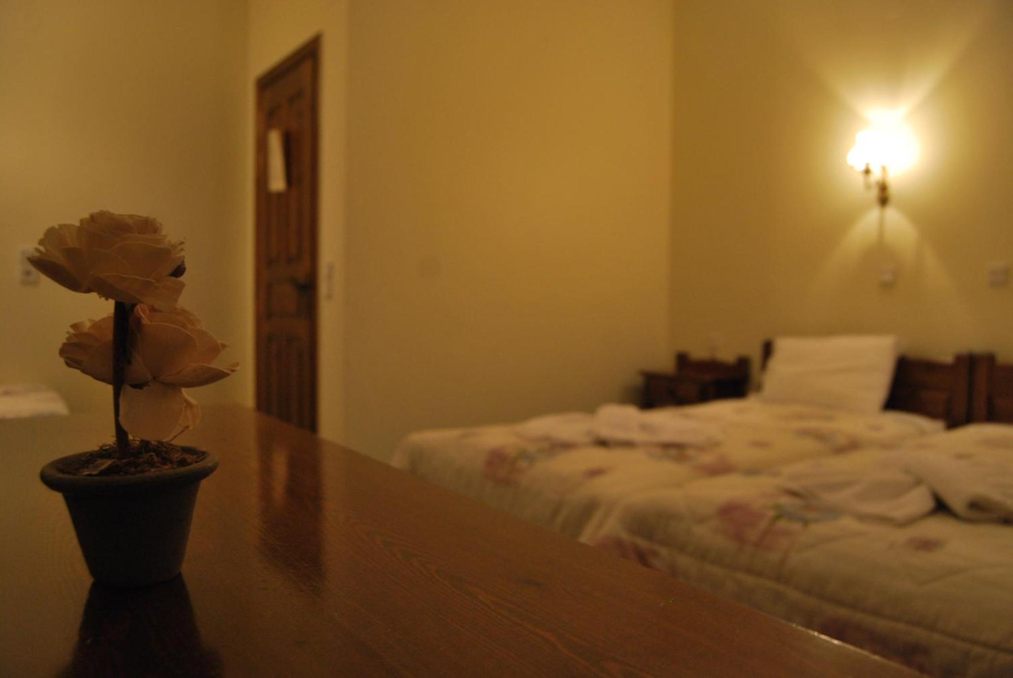 Rizoma Guesthouse Mikrón Khoríon エクステリア 写真